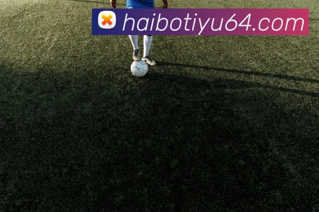 奖项证书